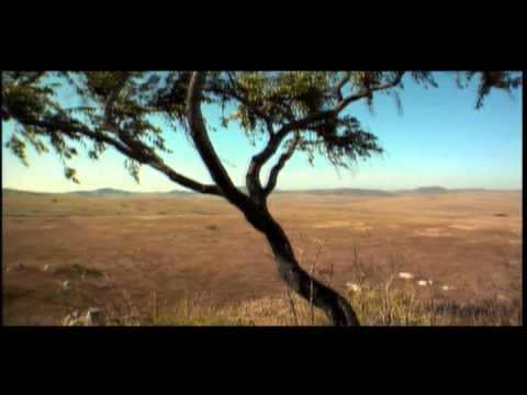 Minas Gerais é trem bão demais 